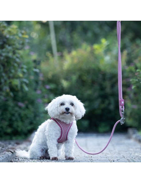 Rope Leash 2m Ø 10mm - Matrix 2.0 Rose/M-L