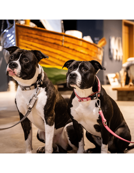 Smart ID Collar - Matrix 2.0 Rose/M