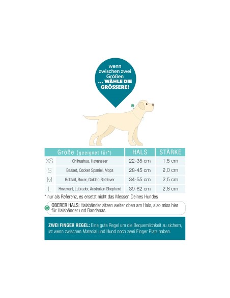 Smart ID Collar - Matrix 2.0 Stone/S