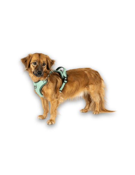 Sport Harness - Matrix 2.0 Jade/L