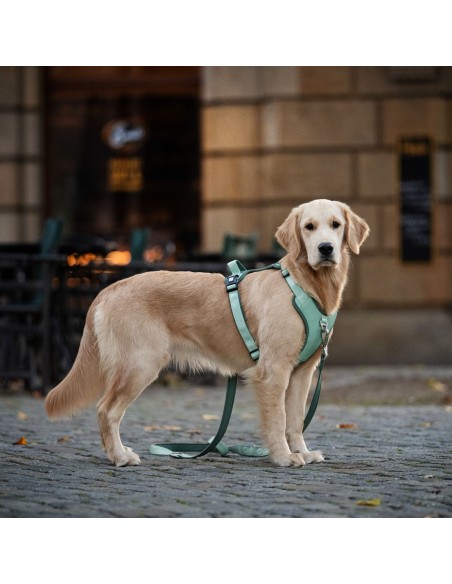 Sport Harness - Matrix 2.0 Lavender/M