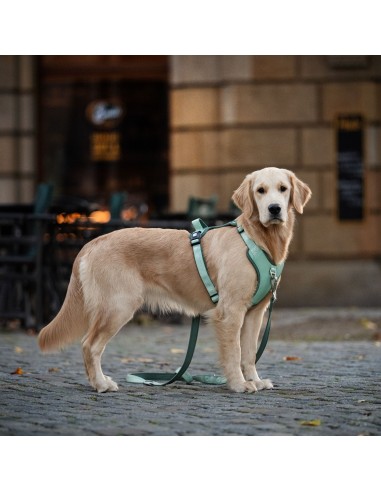 Sport Harness - Matrix 2.0 Ocean/S