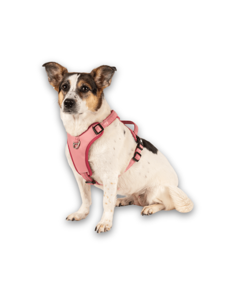 Sport Harness - Matrix 2.0 Rose/S