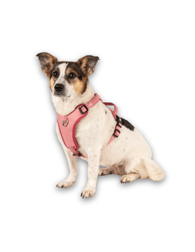 Sport Harness - Matrix 2.0 Rose/L