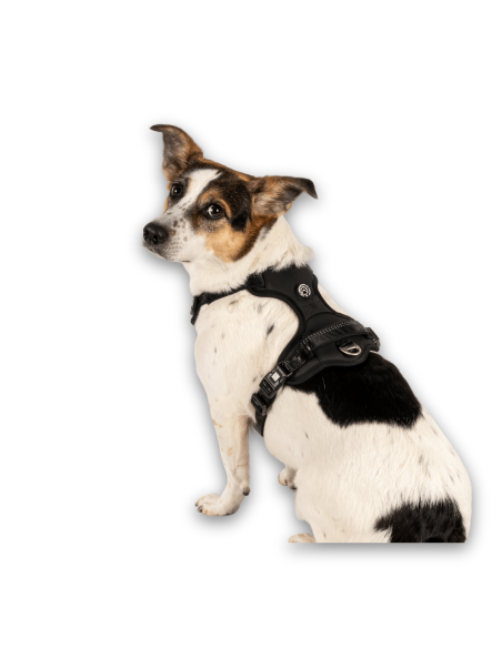 Sport Harness - Matrix 2.0 Black/S