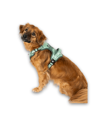Sport Harness - Matrix 2.0 Jade/L