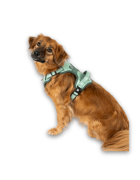 Sport Harness - Matrix 2.0 Jade/L