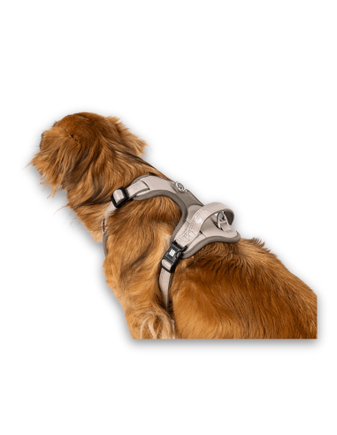 Sport Harness - Matrix 2.0 Sand/XL