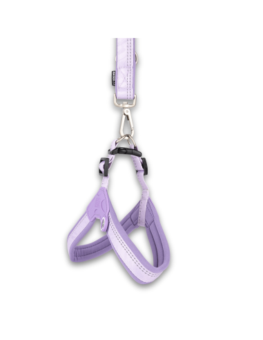 Q-Fit Harness - Matrix 2.0 Lavender/L