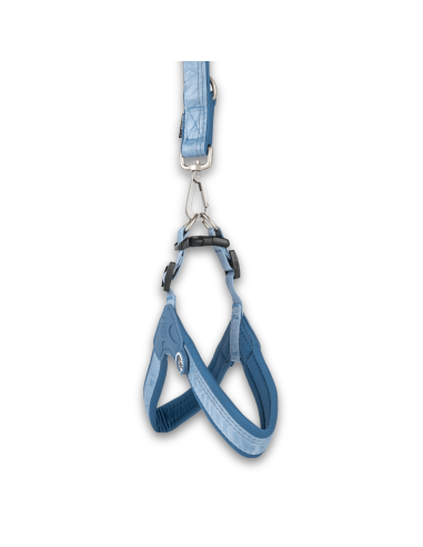 Q-Fit Harness - Matrix 2.0 Ocean/XXS