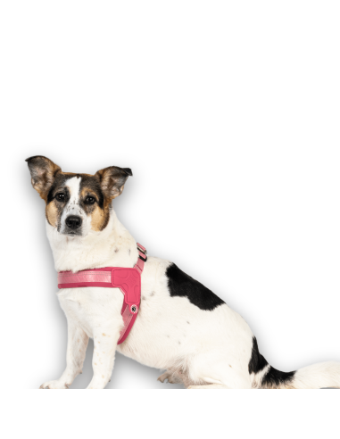 Q-Fit Harness - Matrix 2.0 Rose/M