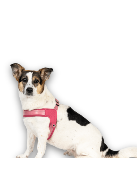 Q-Fit Harness - Matrix 2.0 Rose/L