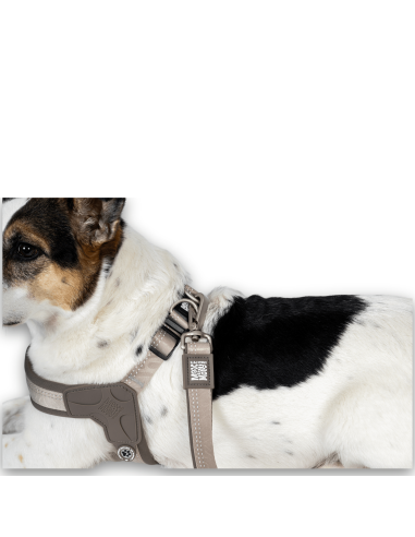 Q-Fit Harness - Matrix 2.0 Sand/L