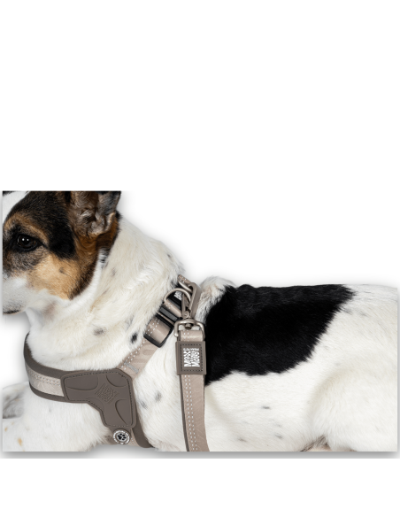 Q-Fit Harness - Matrix 2.0 Sand/L