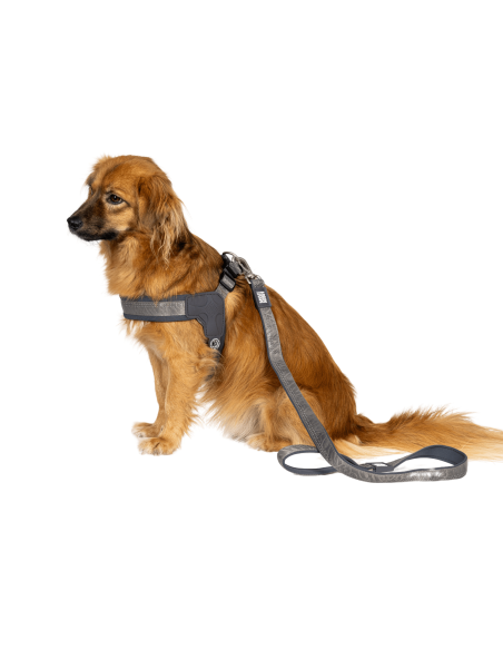 Q-Fit Harness - Matrix 2.0 Stone/L