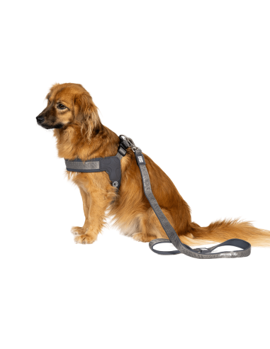 Q-Fit Harness - Matrix 2.0 Stone/XL