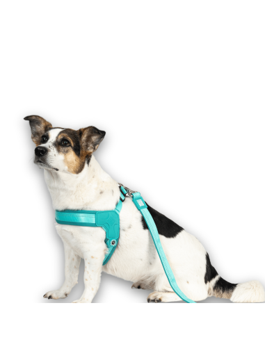 Q-Fit Harness - Matrix 2.0 Turquoise/L
