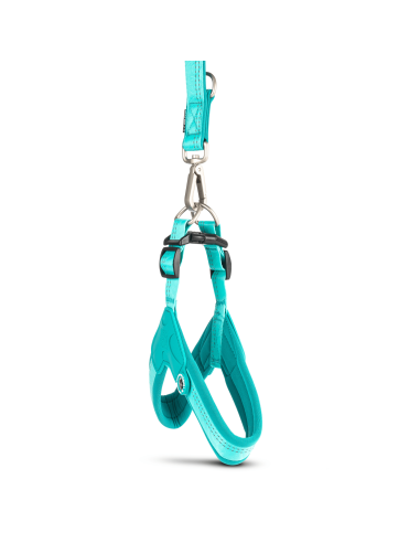 Q-Fit Harness - Matrix 2.0 Turquoise/XL