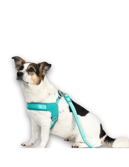 Q-Fit Harness - Matrix 2.0 Turquoise/XL