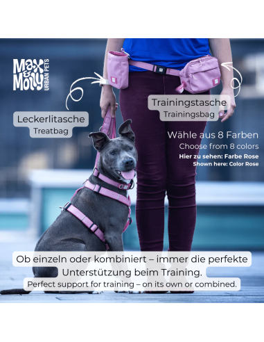 Training Bag - Matrix 2.0 Rose