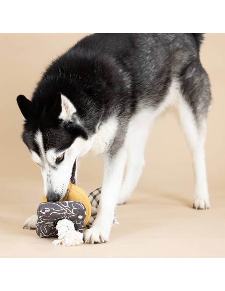 ROPED IN CANVAS DOG TOY