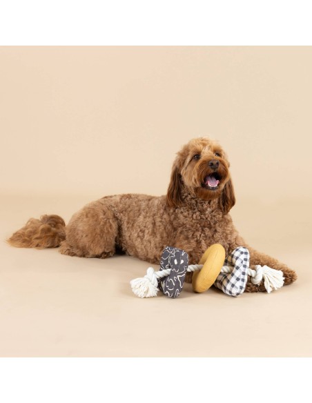ROPED IN CANVAS DOG TOY