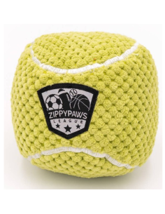 SportsBallz - Tennis Ball 24/cs - Dog Toy