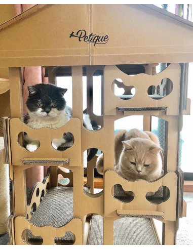 Feline Chateau