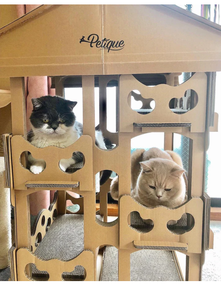 Feline Chateau