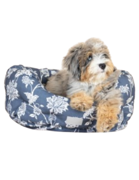 INDIENNE COASTAL BLU SM RND CUDDLER