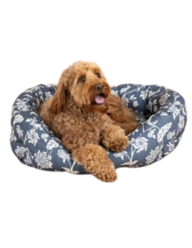 INDIENNE COASTAL BLU MD RND CUDDLER