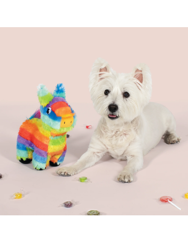 Full O'fun! Dog Toy