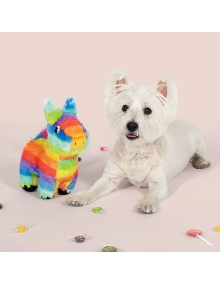 Full O'fun! Dog Toy