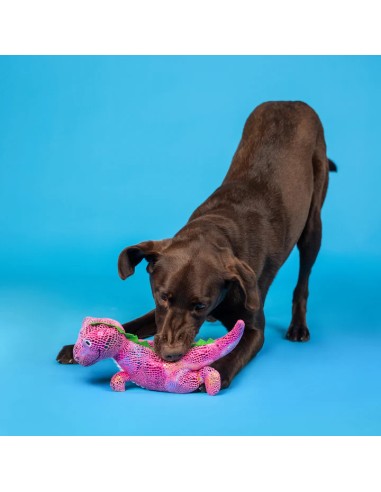 Embrace Your Colors Plush Dog Toy