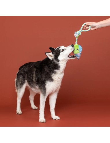Conefidence Is Yummy Plush Dog Toy