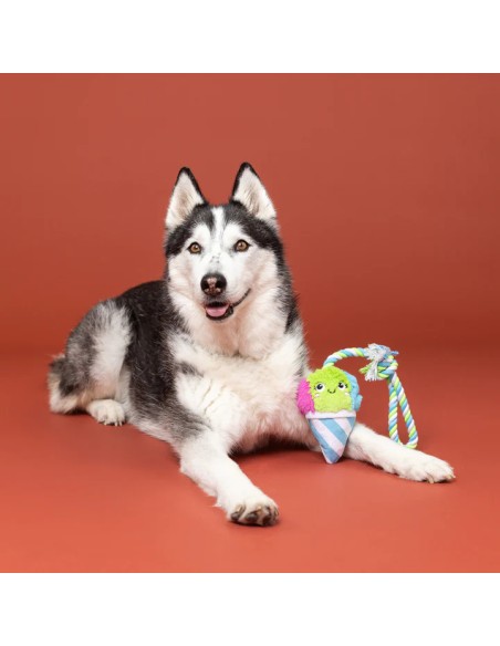 Conefidence Is Yummy Plush Dog Toy