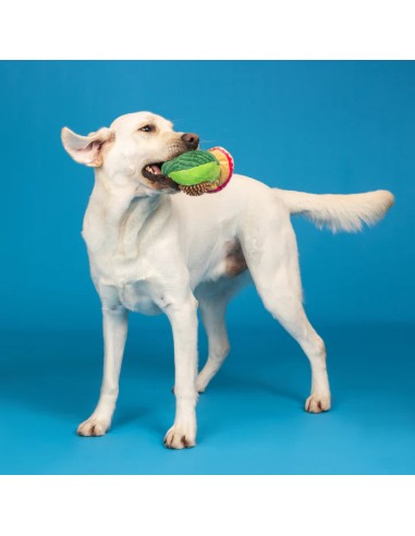 Avo Fiesta Plush Dog Toy