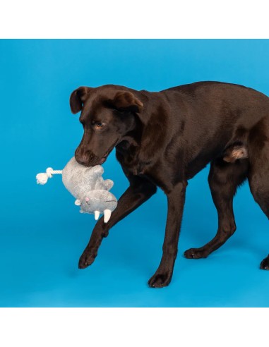 Rhino You Want Me Plush Dog Toy