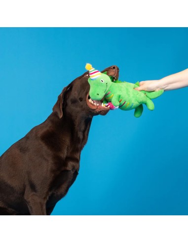 Im How Old Plush Dog Toy