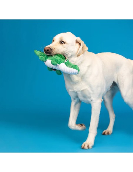 Ready To Croc Plush Dog Toy