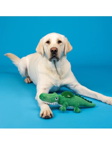 Ready To Croc Plush Dog Toy