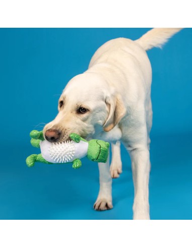 Roar And Explore Plush Dog Toy