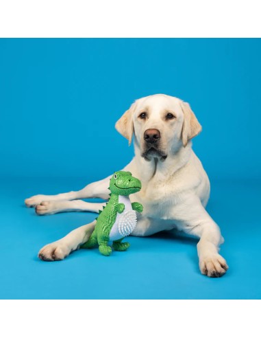 Roar And Explore Plush Dog Toy