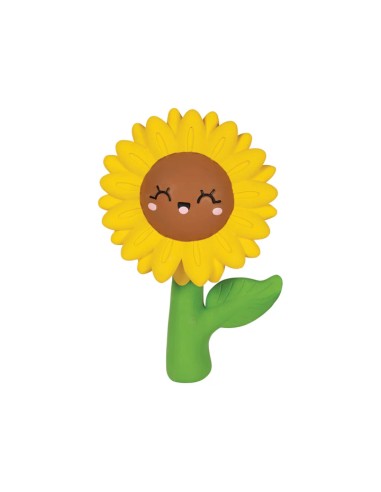 Way To Grow Latex Dog Toy