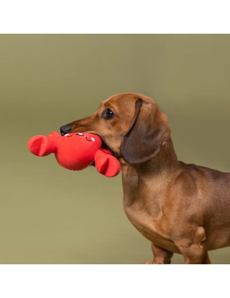 Snappy And Happy Latex Dog Toy