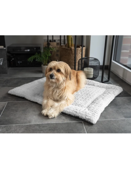 Heaven - Gris - 130x90cm