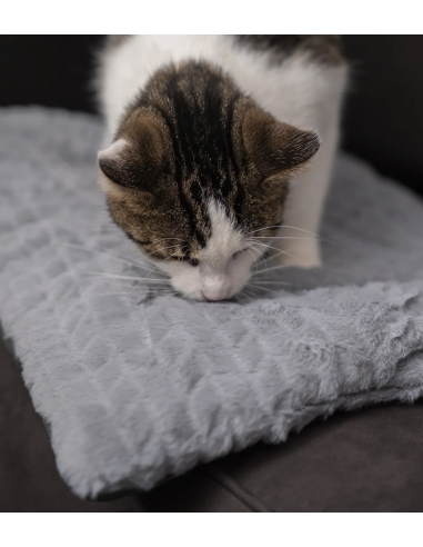 Heaven - Gris - 130x90cm