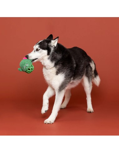 Prickly But Sweet Tpr With Plush Dog Toy