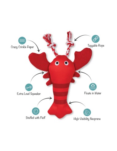 Feeling Clawsome Floating Dog Toy