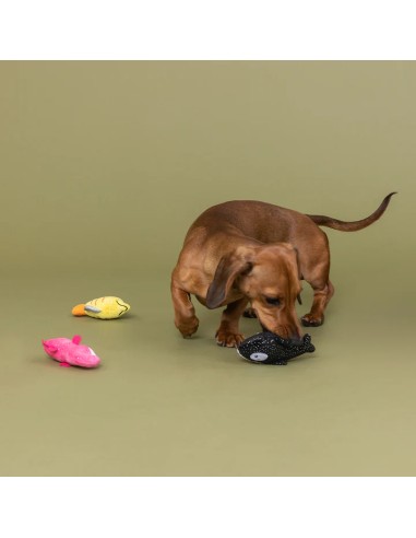 High Fin Buds 3Pcs Small Dog Toy